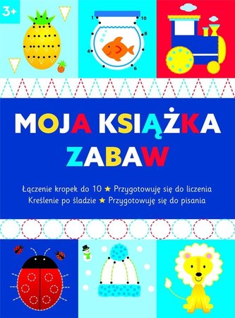 Moja książka zabaw 3+
