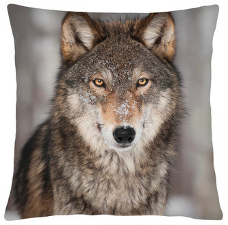 Polštář s vlkem 30 Mybesthome 40x40 cm