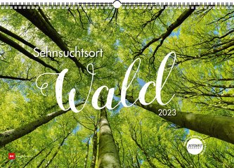Sehnsuchtsort Wald 2023