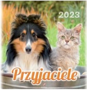Kalendarz 2023 Wieloplanszowy Przyjaciele ARTSEZON