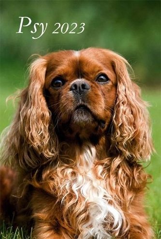Kalendarz 2023 Ścienny wieloplanszowy Psy