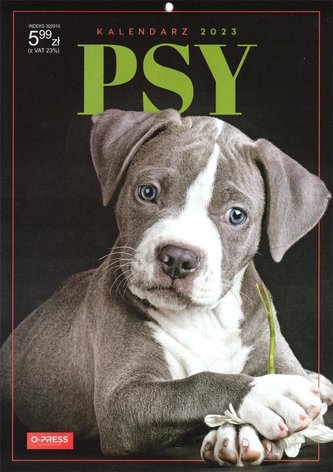 Kalendarz 2023 A4 Ścienny psy