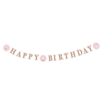 Party nápis Na den princeznou Happy Birthday 170 x 15 cm