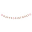 Party nápis Na den princeznou Happy Birthday 170 x 15 cm