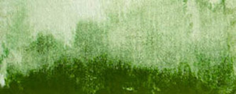 Akvarelová barva Renesans 15ml – 45 Zeleň olivová