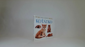 Koťátko