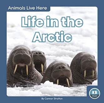 Animals Live Here: Life in the Arctic