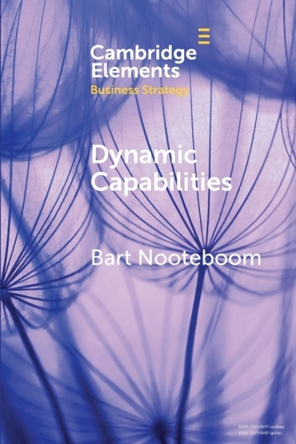 Dynamic Capabilities