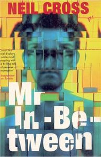 Mr in Between