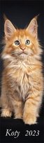 Kalendarz 2023 Ścienny pasek Koty