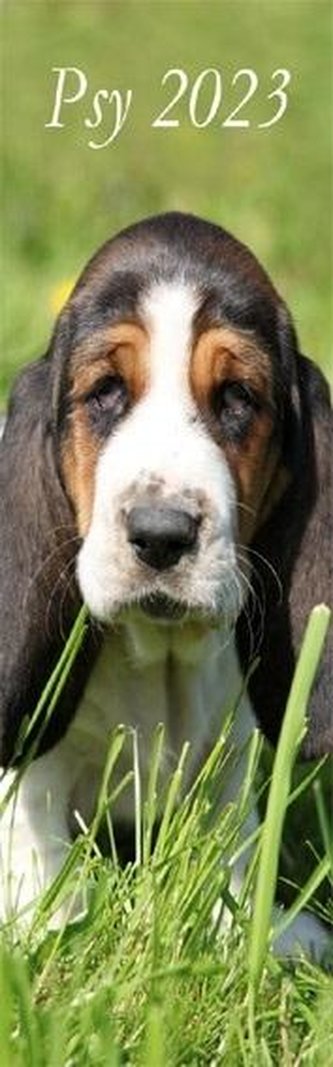 Kalendarz 2023 Ścienny pasek Psy