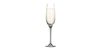 TESCOMA Sklenice na šampaňské SOMMELIER 210 ml, 6 ks