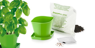 TESCOMA Souprava pro pěstování bylinek SENSE, bazalka