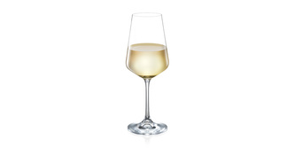 TESCOMA Sklenice na bílé víno GIORGIO 350 ml, 6 ks