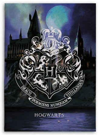 FLÍSOVÁ DEKA HARRY POTTER