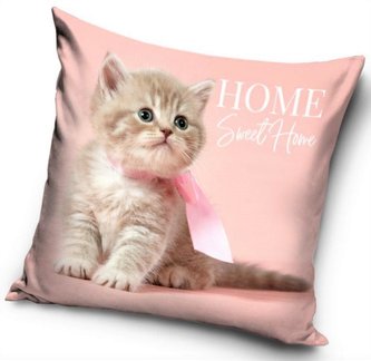 POLŠTÁŘ KOČIČKA