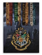 FLÍSOVÁ DEKA HARRY POTTER
