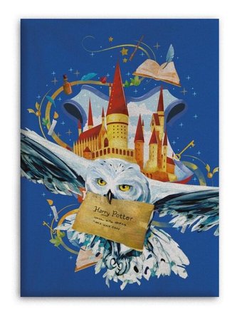 FLÍSOVÁ DEKA HARRY POTTER