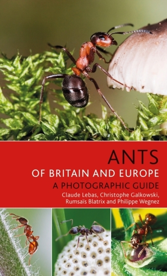 Ants of Britain and Europe