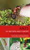 Ants of Britain and Europe