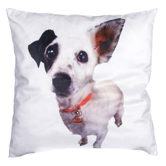 Polštář PETS 40x40cm motiv A ESSEX