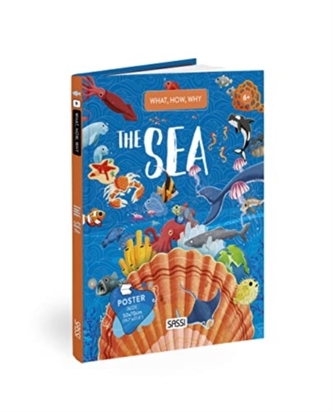 QUESTIONS ANSWERS THE SEA