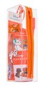 Disney The Aristocats zubní pasta The Aristocats 75 ml + zubní kartáček The Aristocats 1 ks + kelímek The Aristocats 1 ks + kosmetická taštička