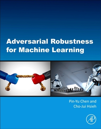 Adversarial Robustness for Machine Learning