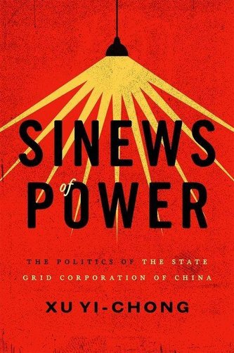 Sinews of Power: The Politics of the State Grid Corporation of China