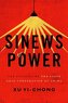 Sinews of Power: The Politics of the State Grid Corporation of China