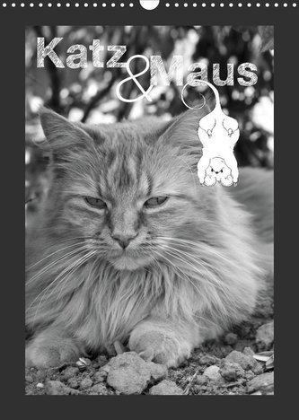 Katz & Maus (Wandkalender 2023 DIN A3 hoch)