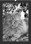Katz & Maus (Wandkalender 2023 DIN A3 hoch)