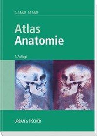 Atlas Anatomie