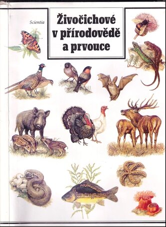 Živočichové v přírodě