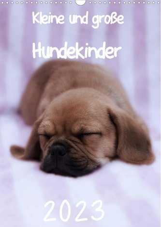 Kleine und große Hundekinder 2023 (Wandkalender 2023 DIN A3 hoch)