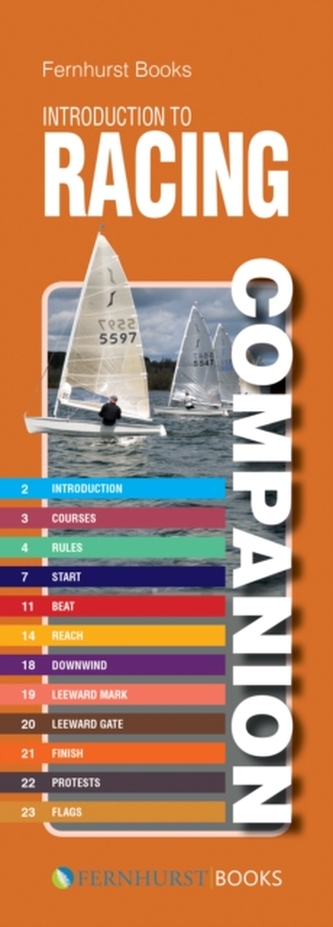 Introduction to Racing Companion