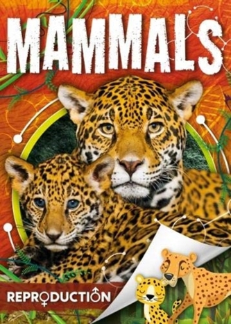 Mammals