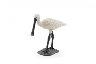 Kolpík bílý pták