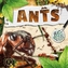 Ants