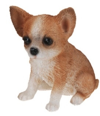 Dekorace pes čivava 16,5x14x11 cm