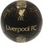 Fotbalový míč Liverpool FC: vzor Signature Gold PH (5)