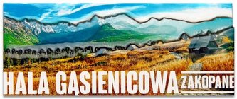 Magnes I love Poland Hala Gąsienicowa