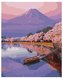 Malowanie po numerach - Japońska estetyka 40x50cm