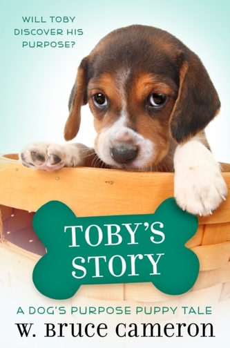 TOBYS STORY