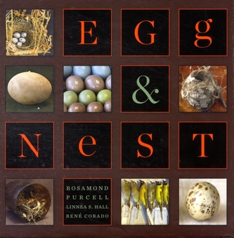 Egg & Nest