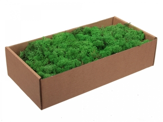 Finský Sobí mech zelený 500g