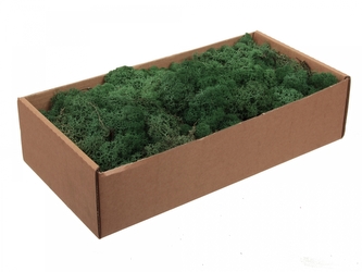 Finský Sobí mech mechová zelená 500g