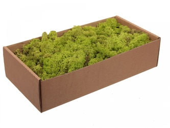 Finský Sobí mech světle zelený 500g