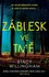 Záblesk ve tmě Záblesk ve tmě