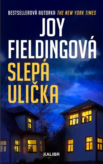 Slepá ulička Slepá ulička